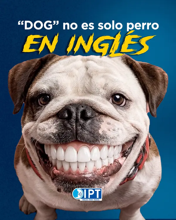 Publicación de IPT sobre los usos de la palabra dog